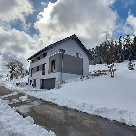 Adlernest Apartment Feldberg  Luaran gambar
