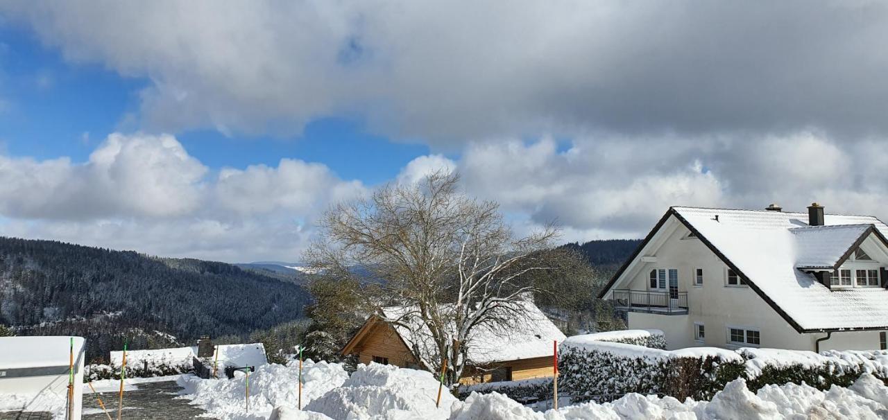 Adlernest Apartment Feldberg  Luaran gambar
