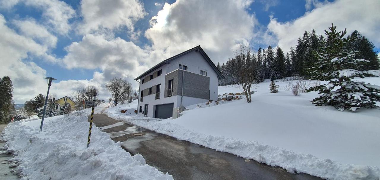 Adlernest Apartment Feldberg  Luaran gambar