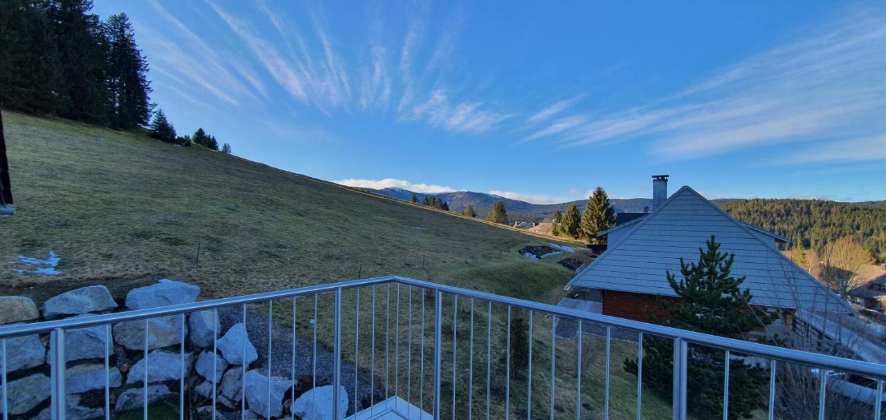 Adlernest Apartment Feldberg  Luaran gambar